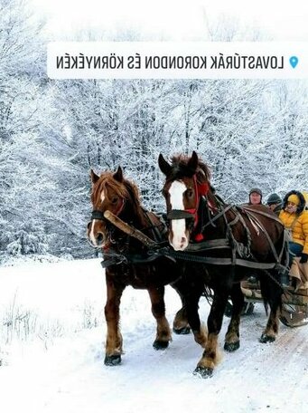 SZEKERES Vendeghaz - Photo5