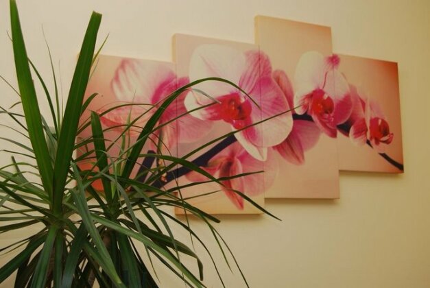 Apartament Luxury - Photo4