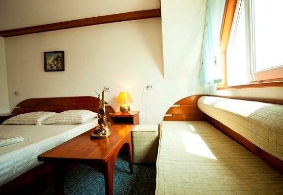 Hotel GGGociman Crisan - Photo5
