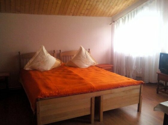 Pensiunea Valea Badilii - Photo3