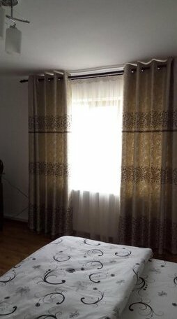 Casa Sviniceana - Photo5