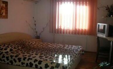Villa Dan - Photo2