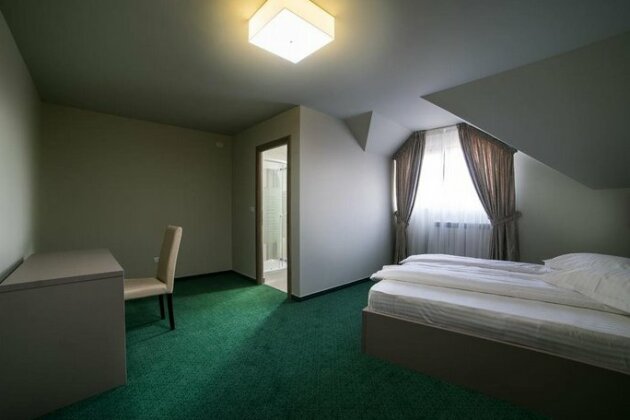 Casa Budisteanu - Photo3