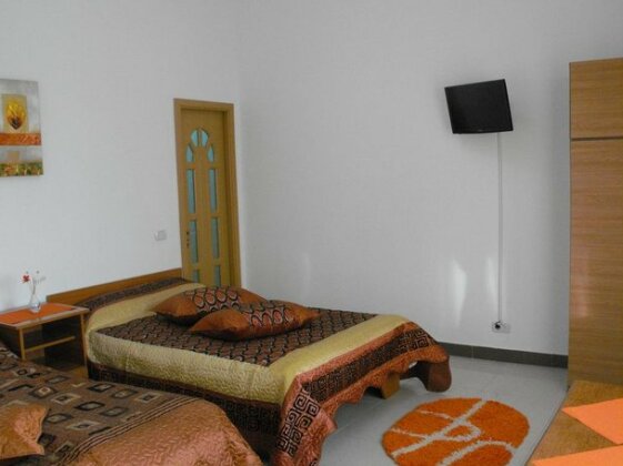 Casa Rustica Focsani - Photo5