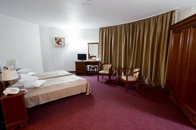 Hotel AmaDeus Focsani - Photo3