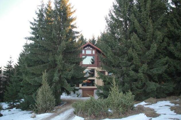 Pensiunea Mountain Retreat - Photo2