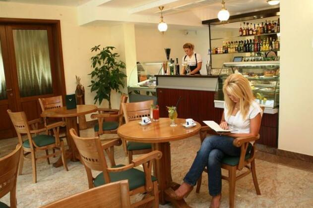 Hotel Vector Gaiesti - Photo3