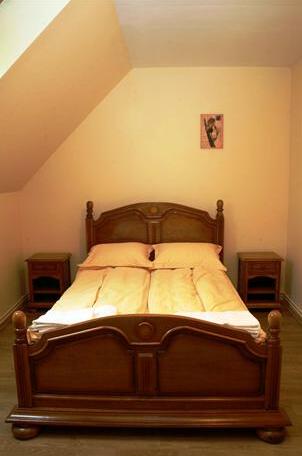 Hotel Vector Gaiesti - Photo4
