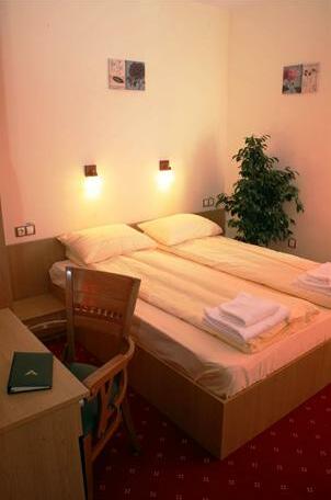 Hotel Vector Gaiesti - Photo5