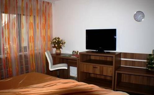 Business Apartament Gratzian - Photo2