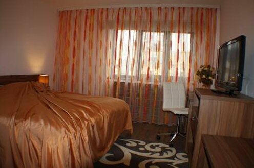 Business Apartament Gratzian - Photo3