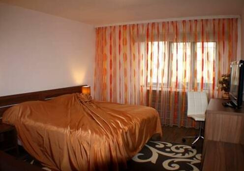 Business Apartament Gratzian - Photo4
