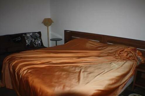 Business Apartament Gratzian - Photo5