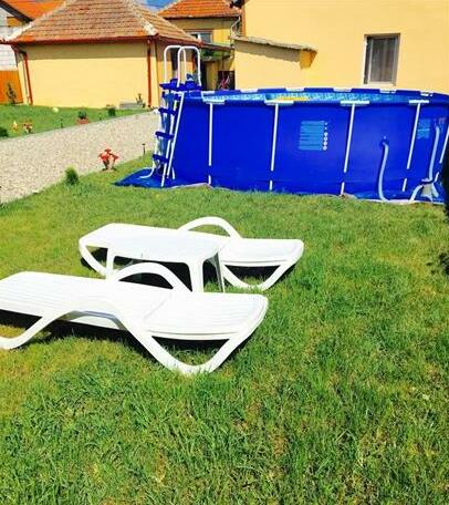 Casa Alexia Hateg - Photo5