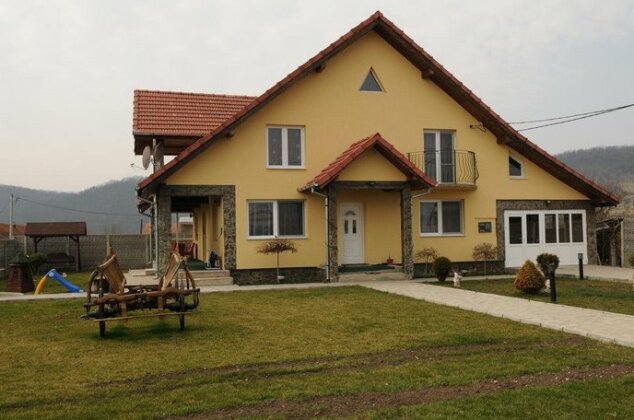 Casa Andreea Hateg - Photo2