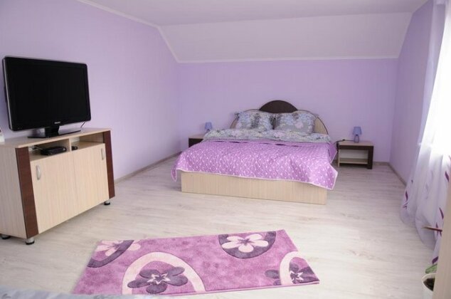 Casa Andreea Hateg - Photo4