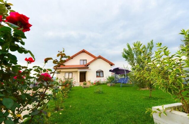 Casa Daria Hateg - Photo2