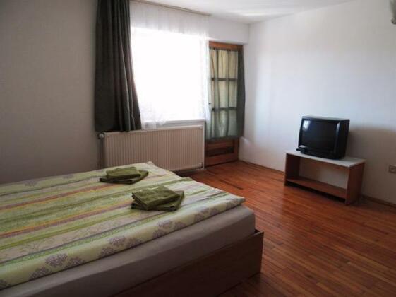Casa Debora Hateg - Photo4