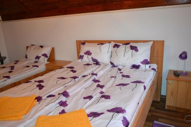 Casa Maria Hateg - Photo3