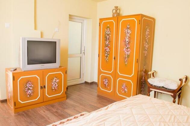 Casa Maya Hateg - Photo5