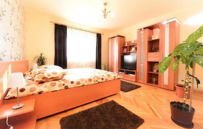 Casa Vio Hateg - Photo4