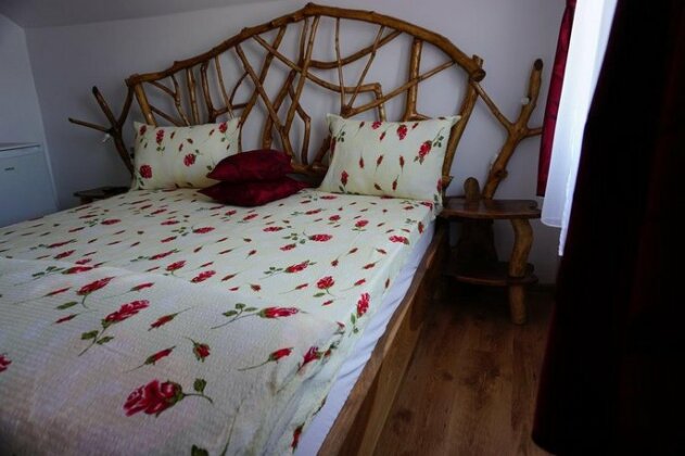 Casa Vlad - Photo3
