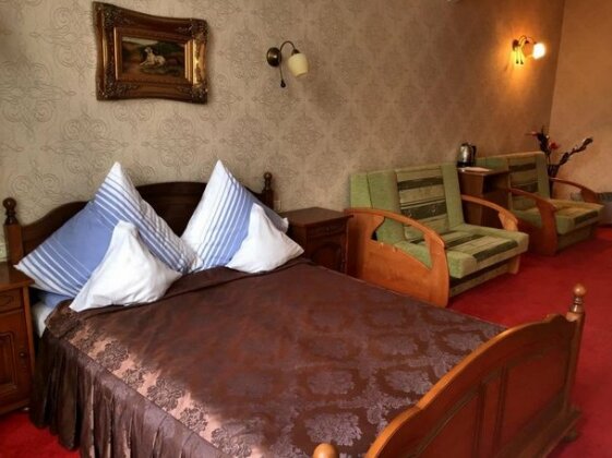 Hotel Ferdinand Hateg - Photo5