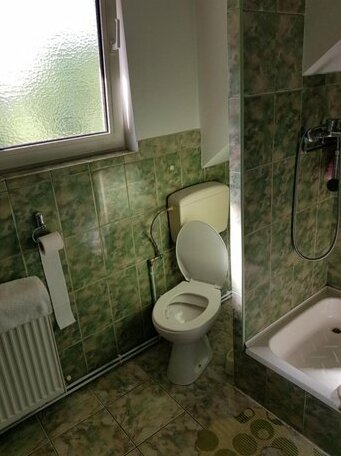 Pensiunea Bunea - Photo3