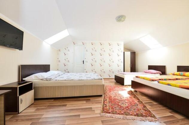 Vila Nico Hateg - Photo3