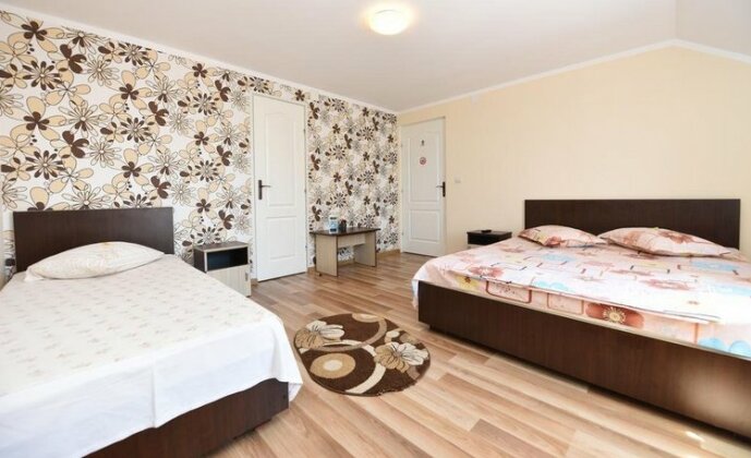 Vila Nico Hateg - Photo4