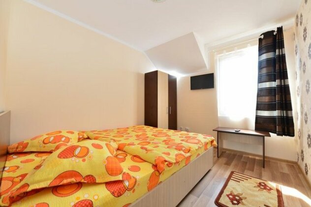 Vila Nico Hateg - Photo5