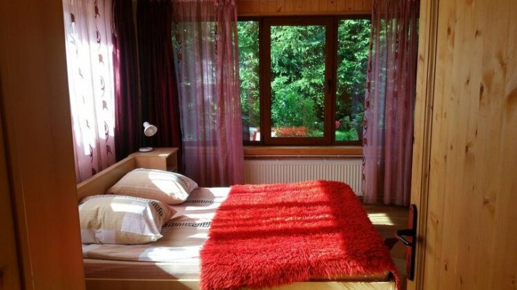 Pensiunea Rossvillas - Photo4