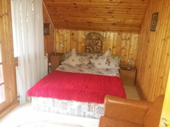 Pensiunea Rossvillas - Photo5