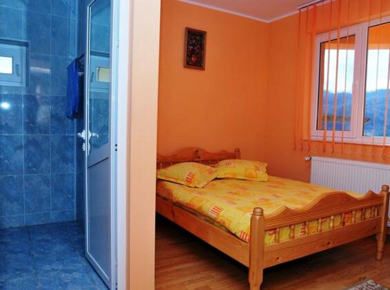 Vila Potcoava - Photo3