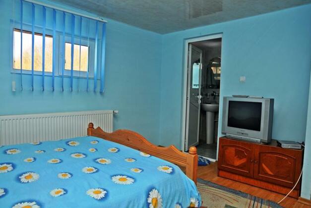 Vila Potcoava - Photo5