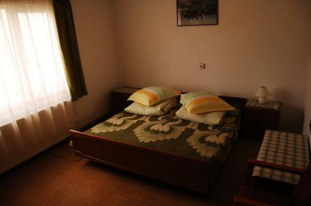 Pensiunea Pepino - Photo5