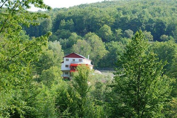 Pensiunea Tara - Photo2