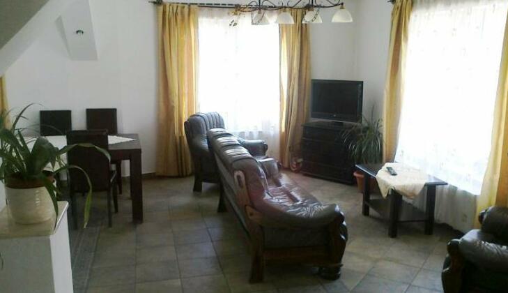 Casa Olteanu Pension - Photo2