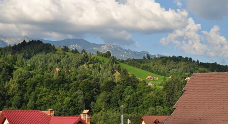 Pension Maria Bran - Photo4
