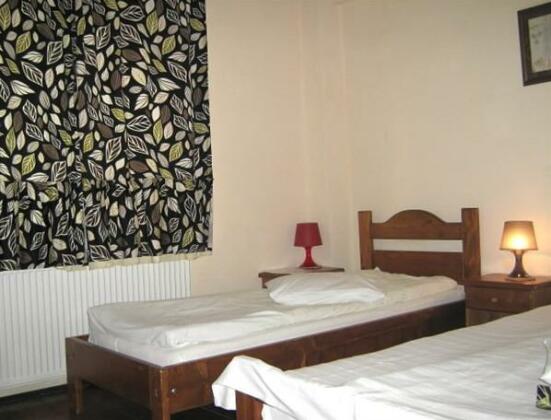 Pension Podul Turcului - Photo5