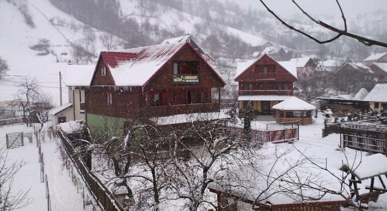 Pensiunea Intim - Photo2