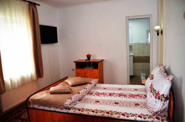 Vila Ady Bran - Photo5