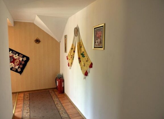 Casa de Vacanta Neagu - Photo2
