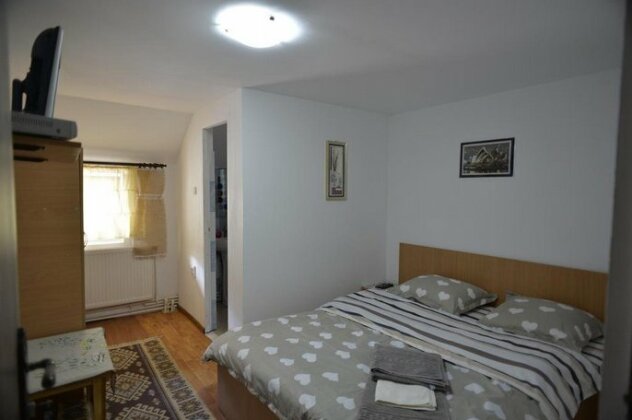 Casa de Vacanta Neagu - Photo4