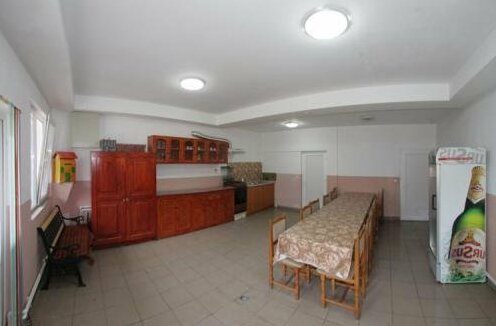 Pensiunea Nicoara - Photo3
