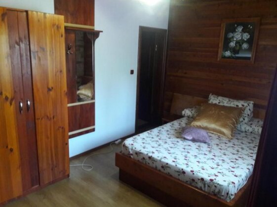 Casa Dacica Nucsoara - Photo4