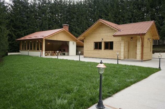 Pensiunea Floarea de Colt - Photo3