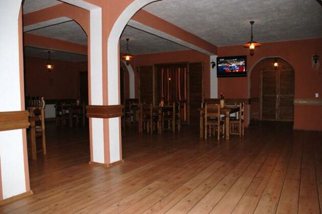 Pensiunea Palace - Photo3