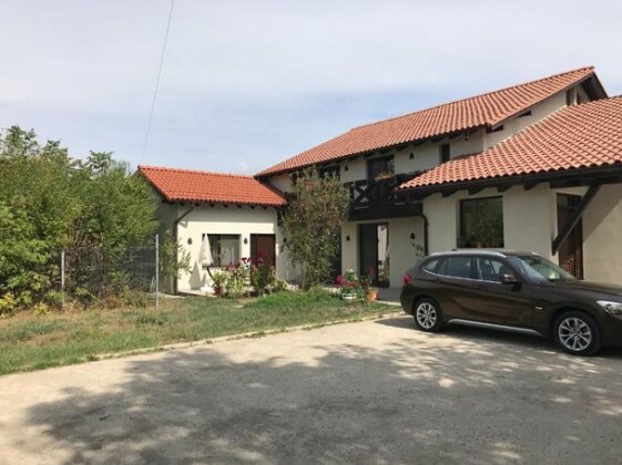 Home Away from Home Apartment Otopeni