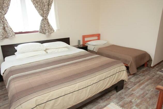 Casa Tabacaru - Photo3
